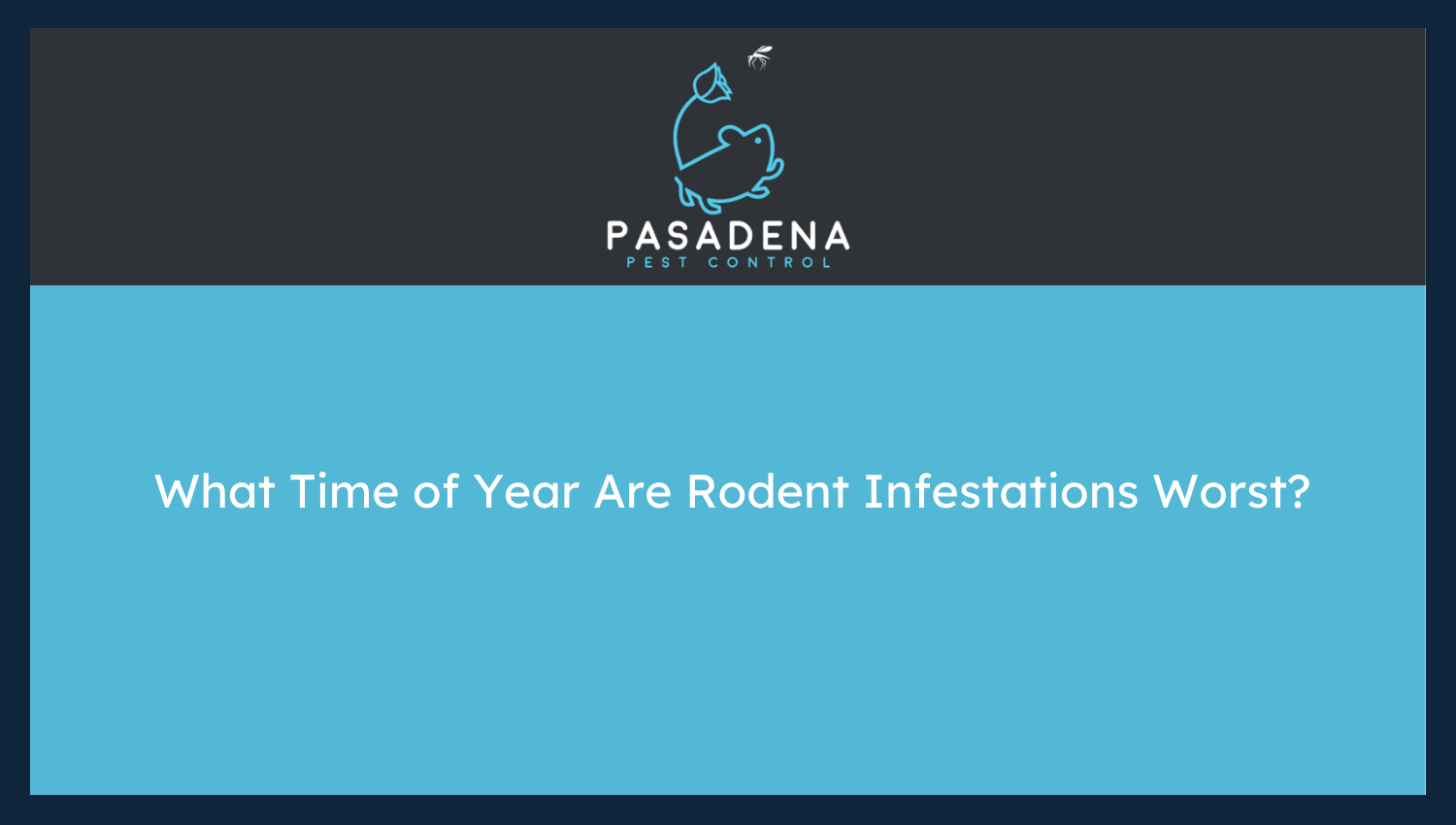 What Time of Year Are Rodent Infestations Worst?