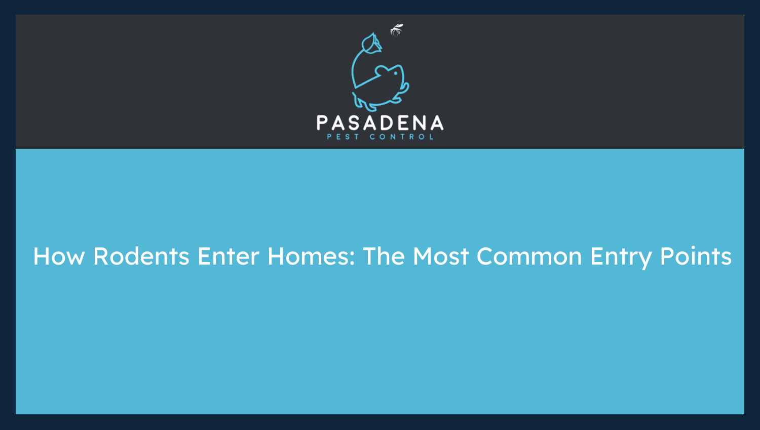 How Rodents Enter Homes: The Most Common Entry Points
