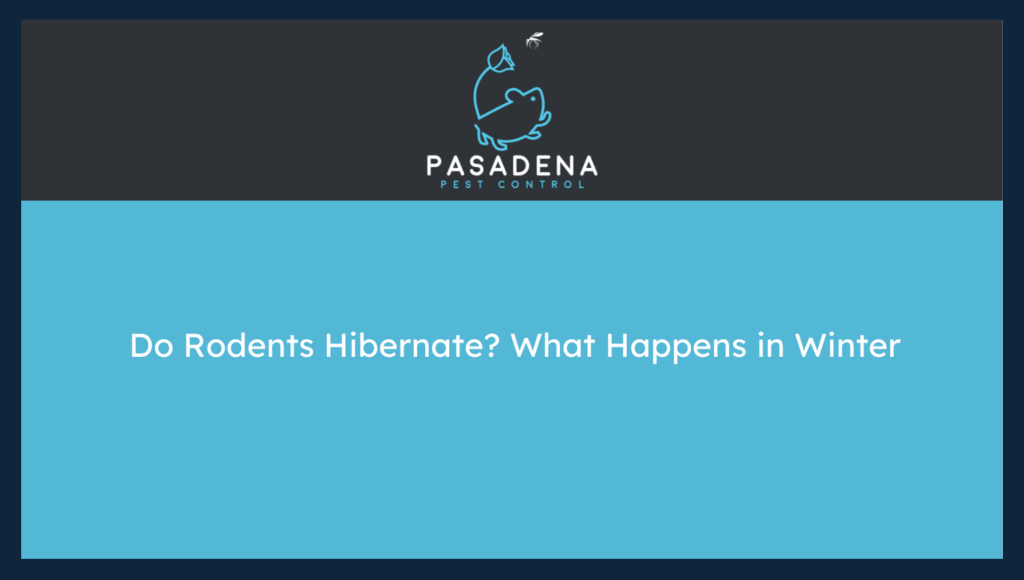 Do Rodents Hibernate? What Happens in Winter