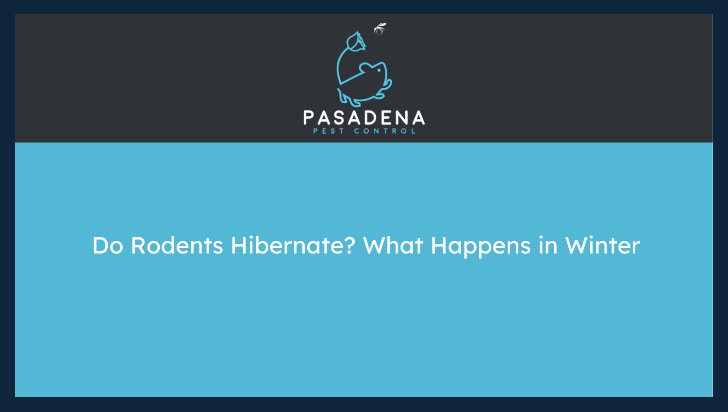 Do Rodents Hibernate? What Happens in Winter