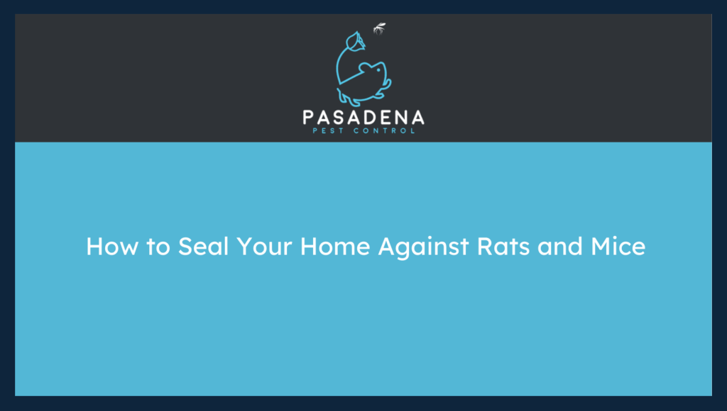 How to Seal Your Home Against Rats and Mice