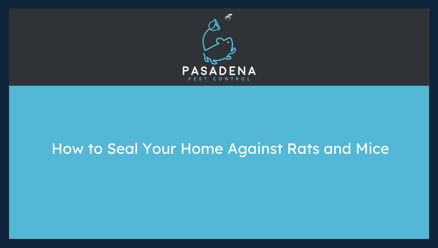 How to Seal Your Home Against Rats and Mice