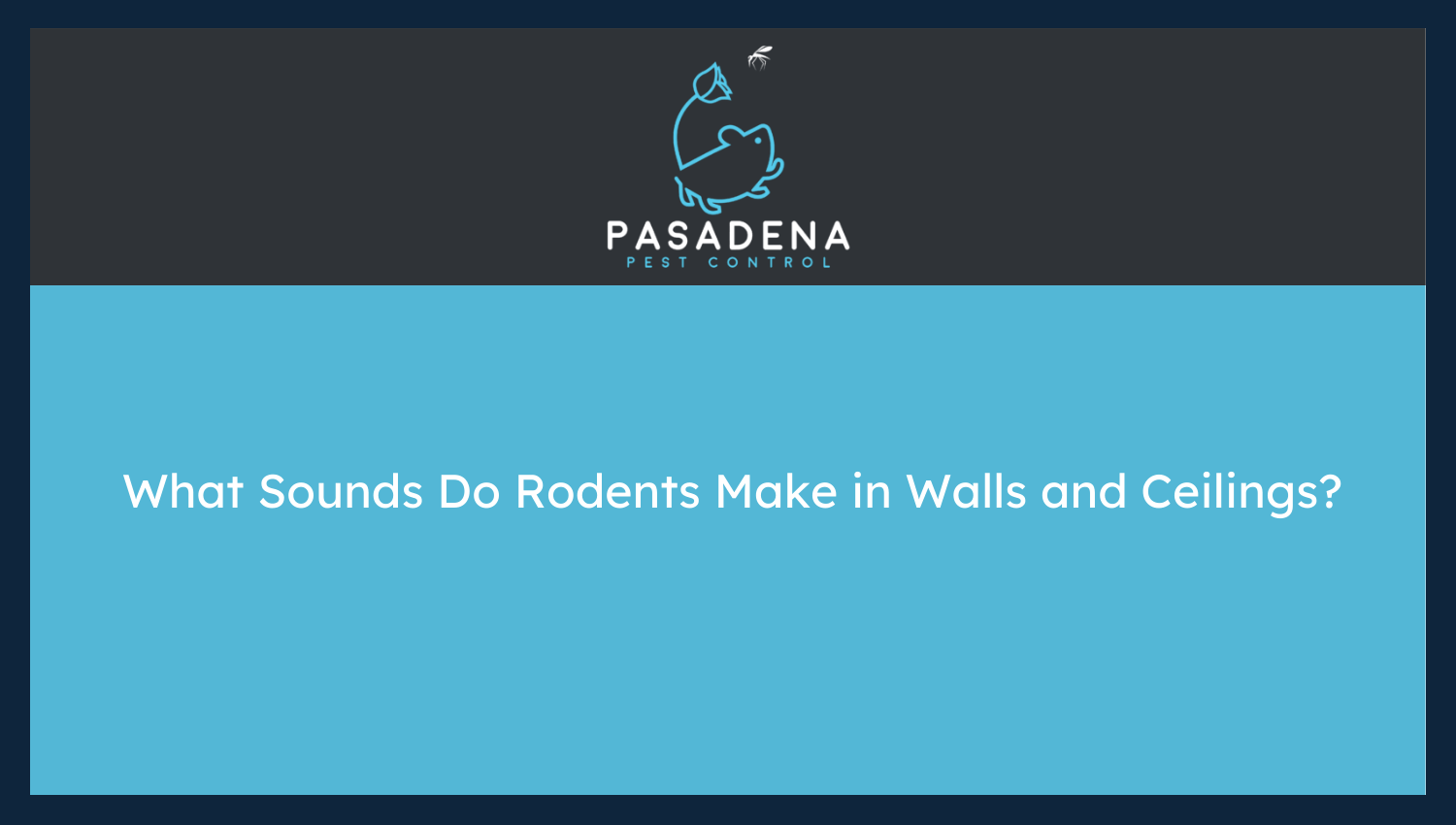 What Sounds Do Rodents Make in Walls and Ceilings?