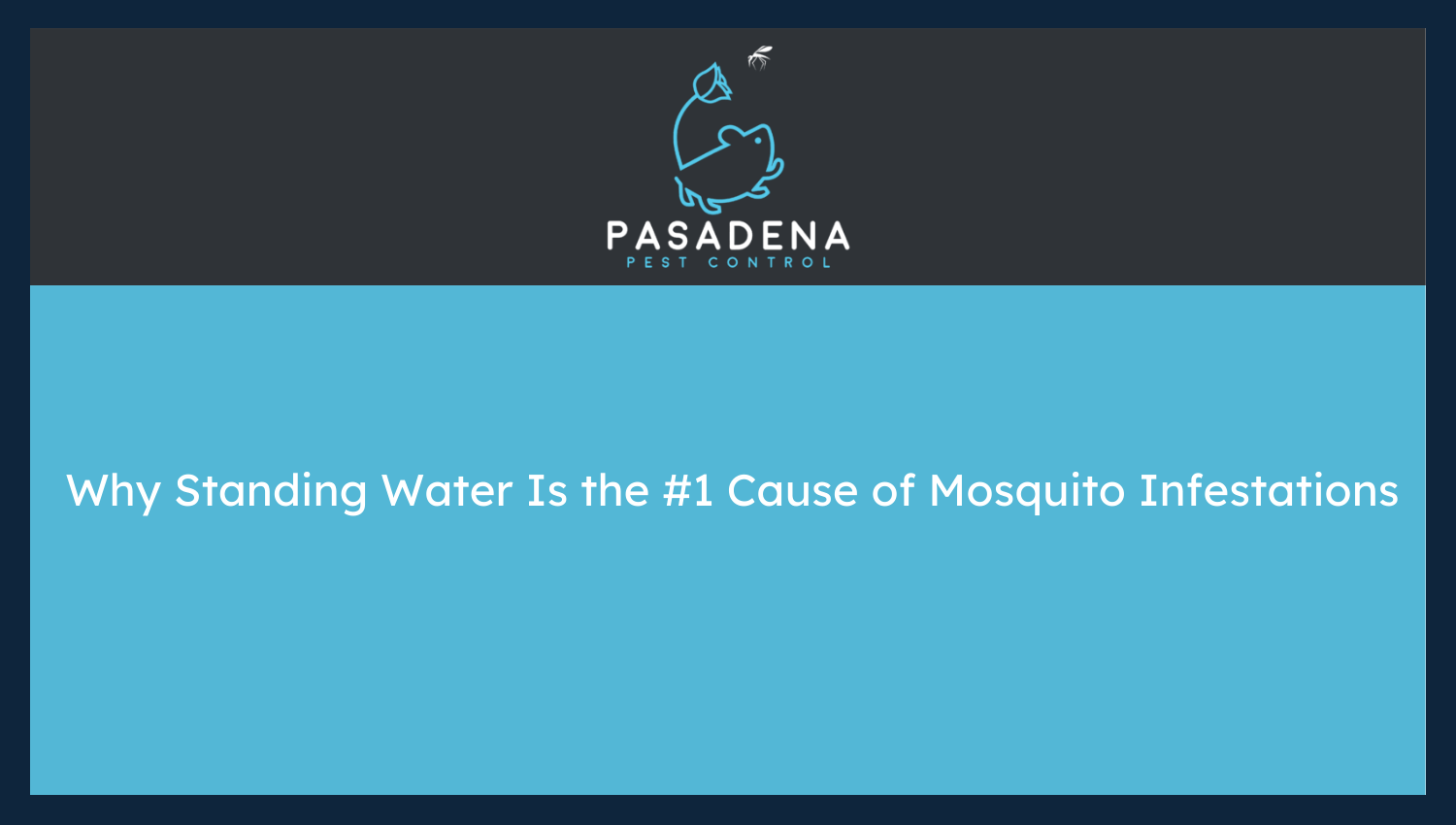 Why Standing Water Is the #1 Cause of Mosquito Infestations