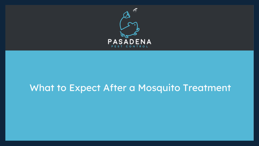 What to Expect After a Mosquito Treatment