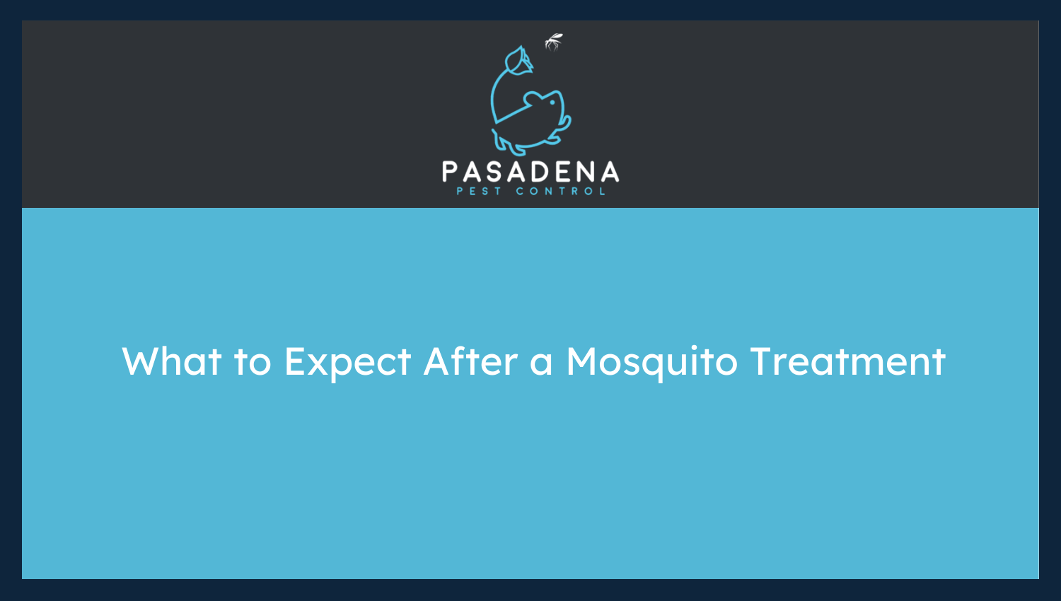 What to Expect After a Mosquito Treatment