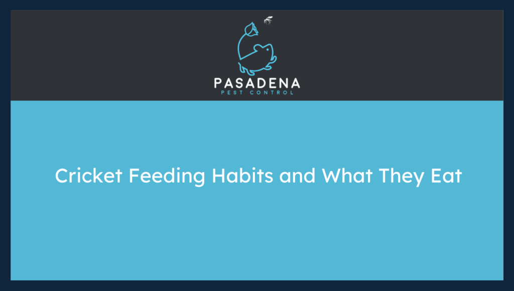Cricket Feeding Habits