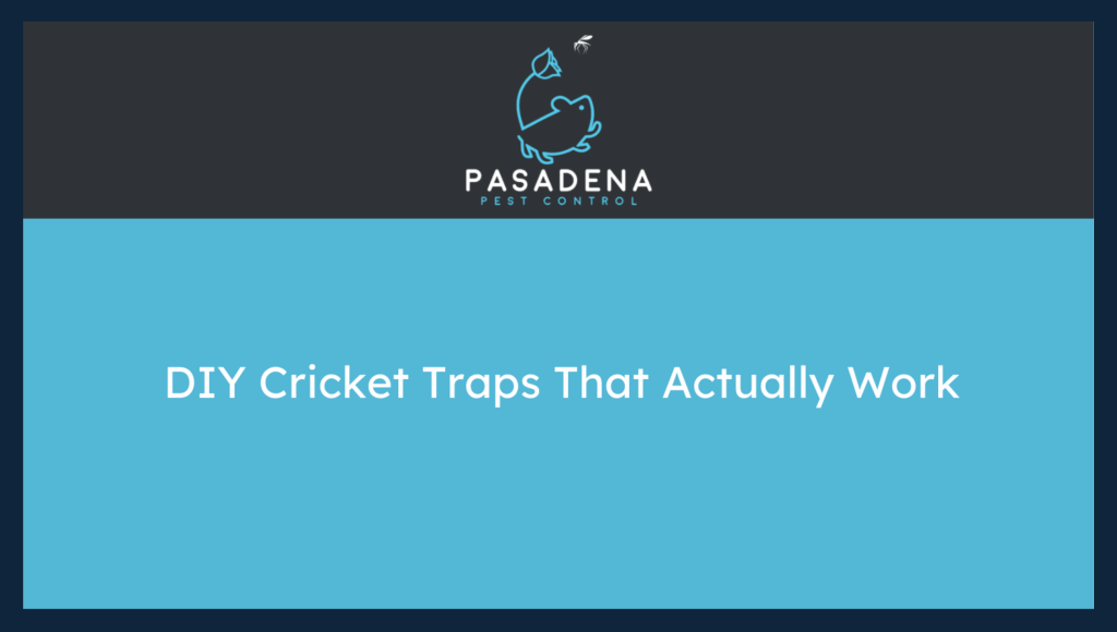 Cricket Traps