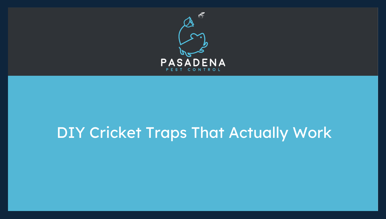 DIY Cricket Traps That Actually Work