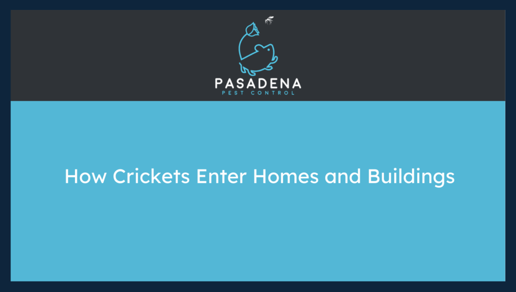 Crickets Enter Homes