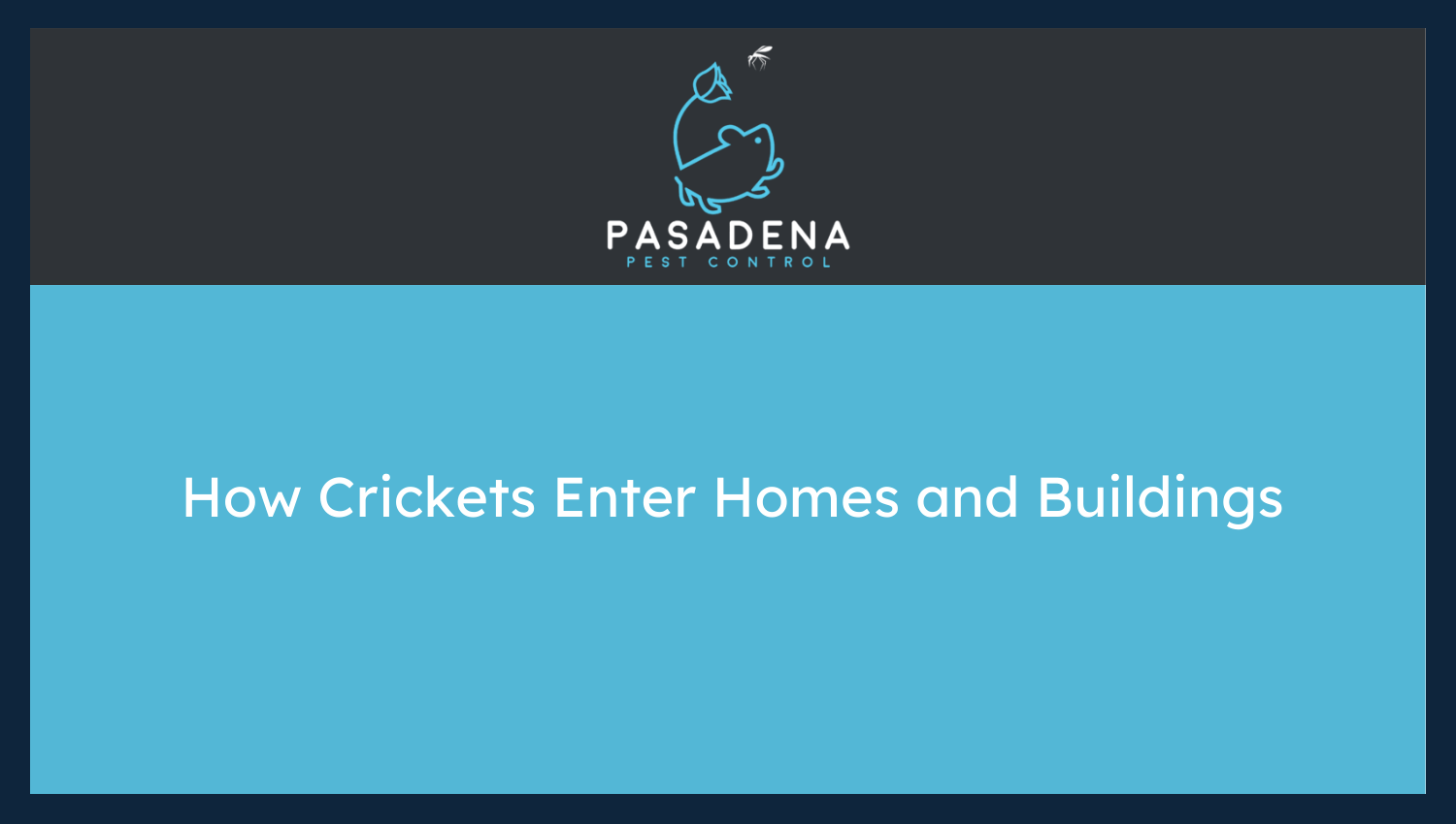 How Crickets Enter Homes and Buildings