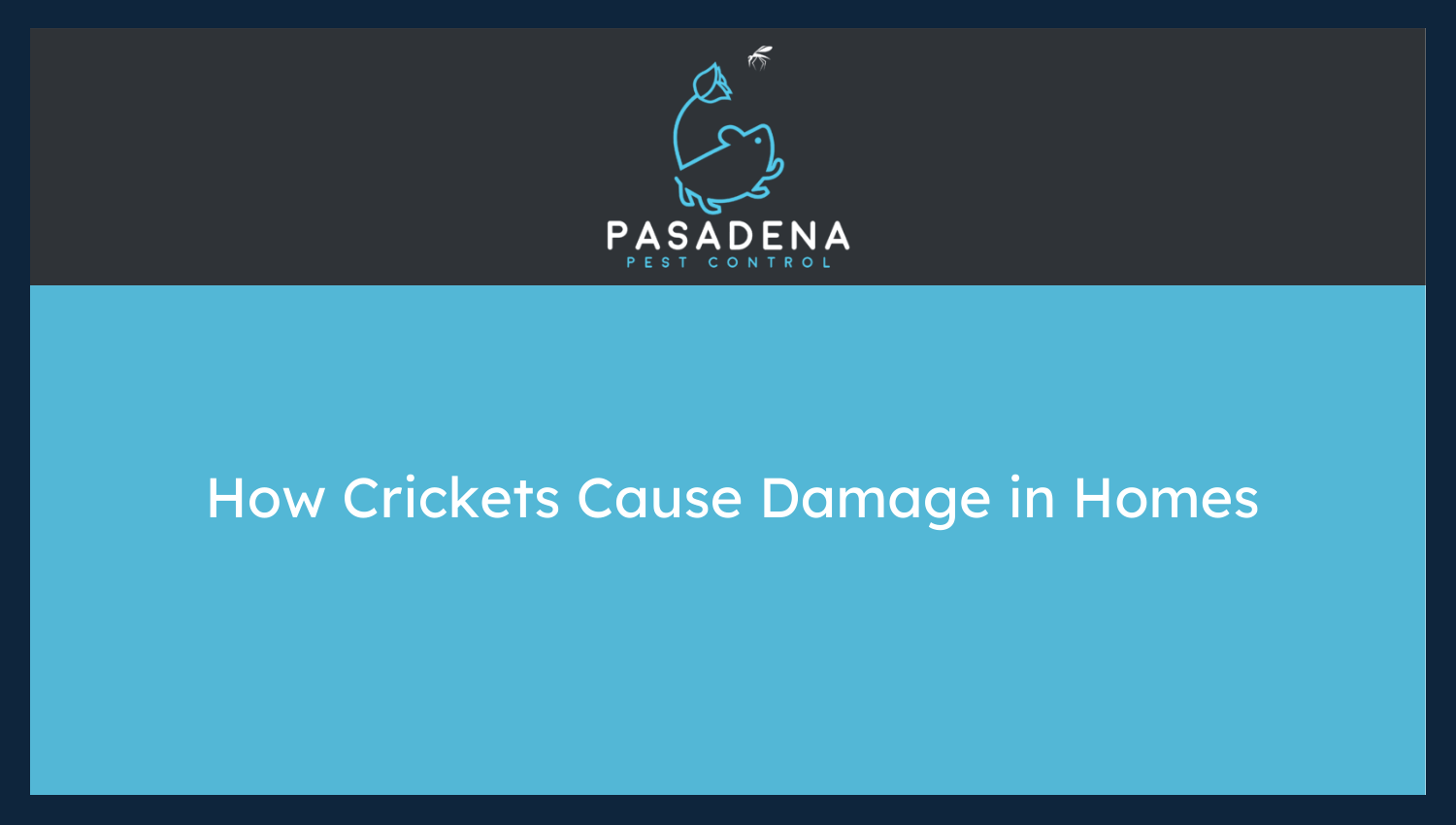 How Crickets Cause Damage in Homes