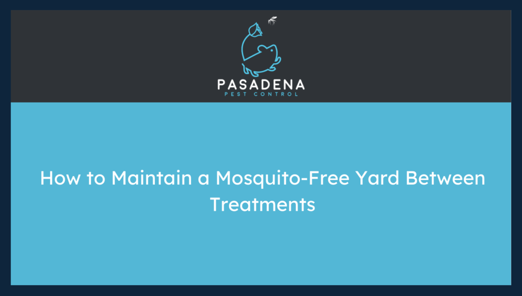 How to Maintain a Mosquito-Free Yard Between Treatments