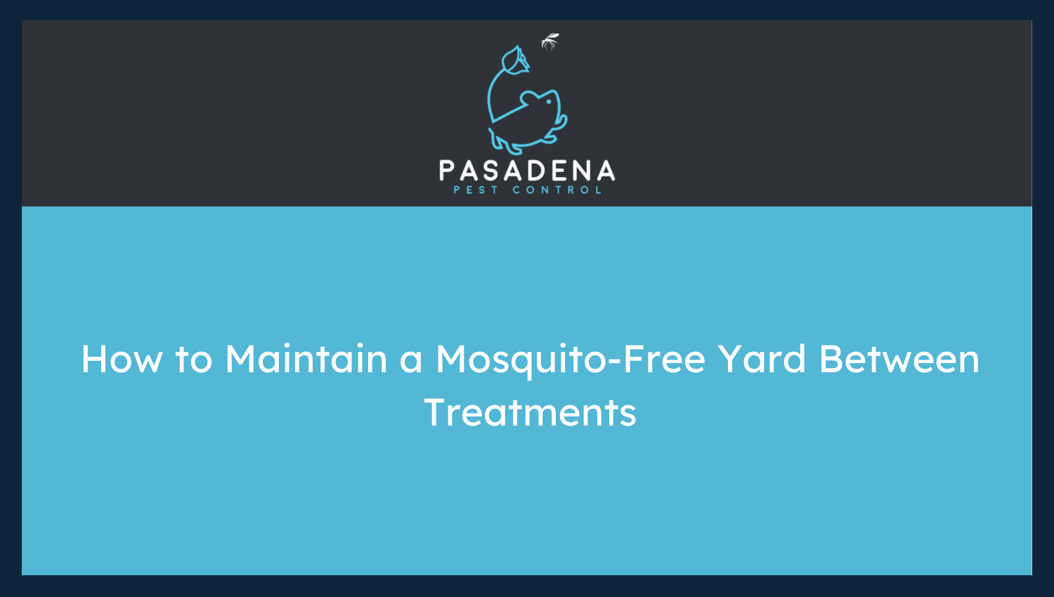 How to Maintain a Mosquito-Free Yard Between Treatments