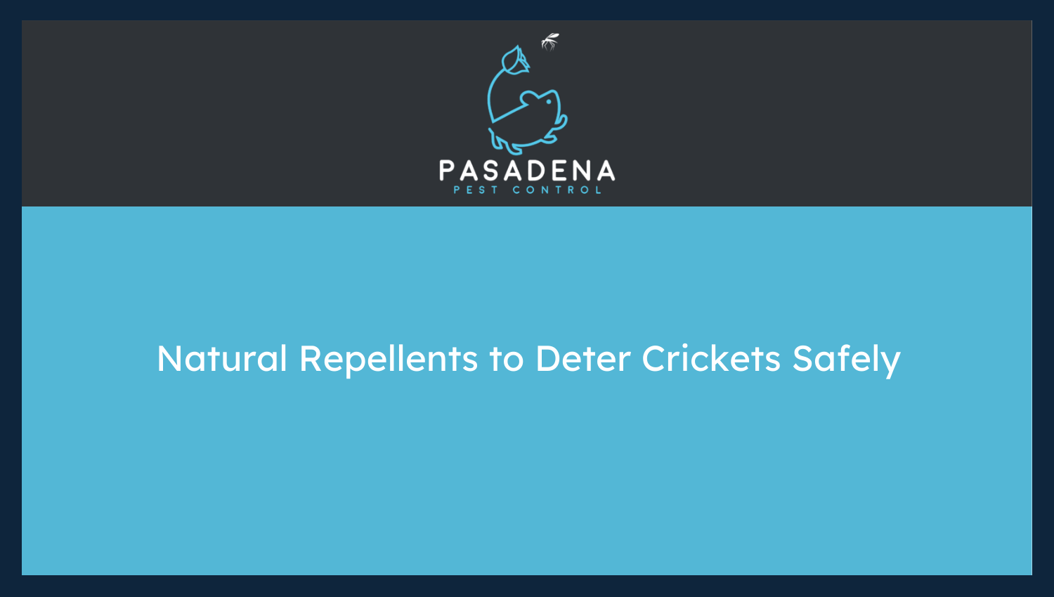 Natural Repellents to Deter Crickets Safely