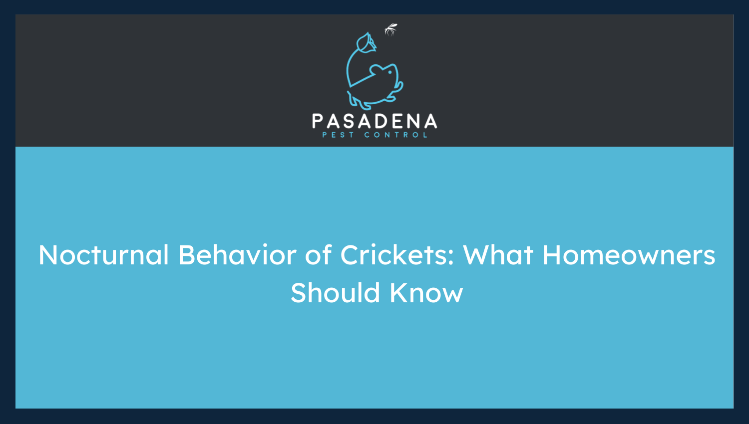 Nocturnal Behavior of Crickets: What Homeowners Should Know