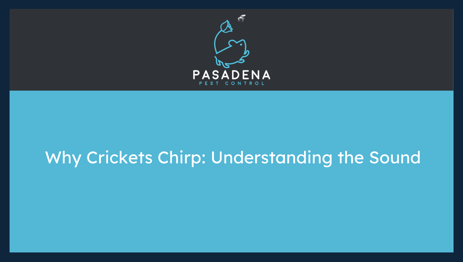 Why Crickets Chirp: Understanding the Sound