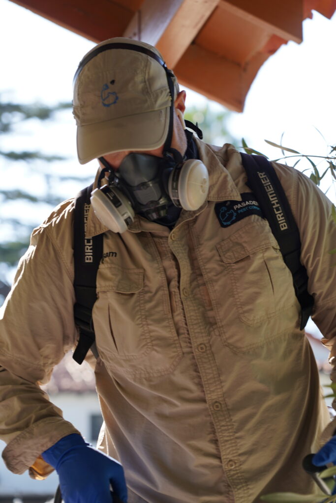 Technician performing a recurring service for protection from "General Pests".