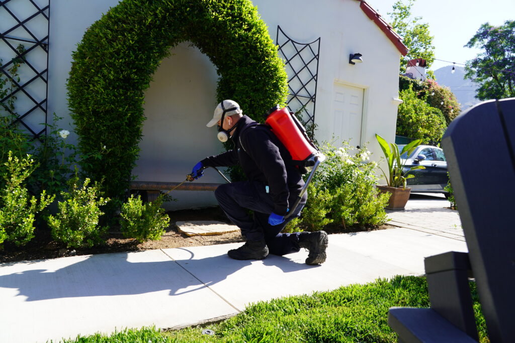 How Long Pest Control Treatments Last in Southern California Homes
