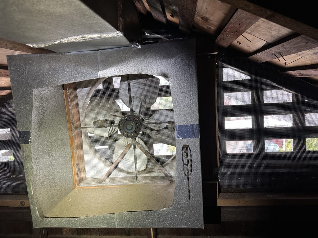 Rodent Entry Points in Older Pasadena Homes