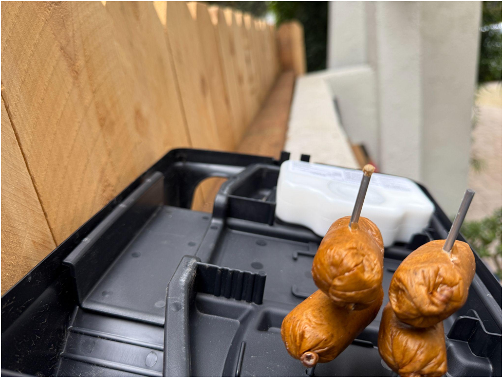 Is Rodent Birth Control Humane?